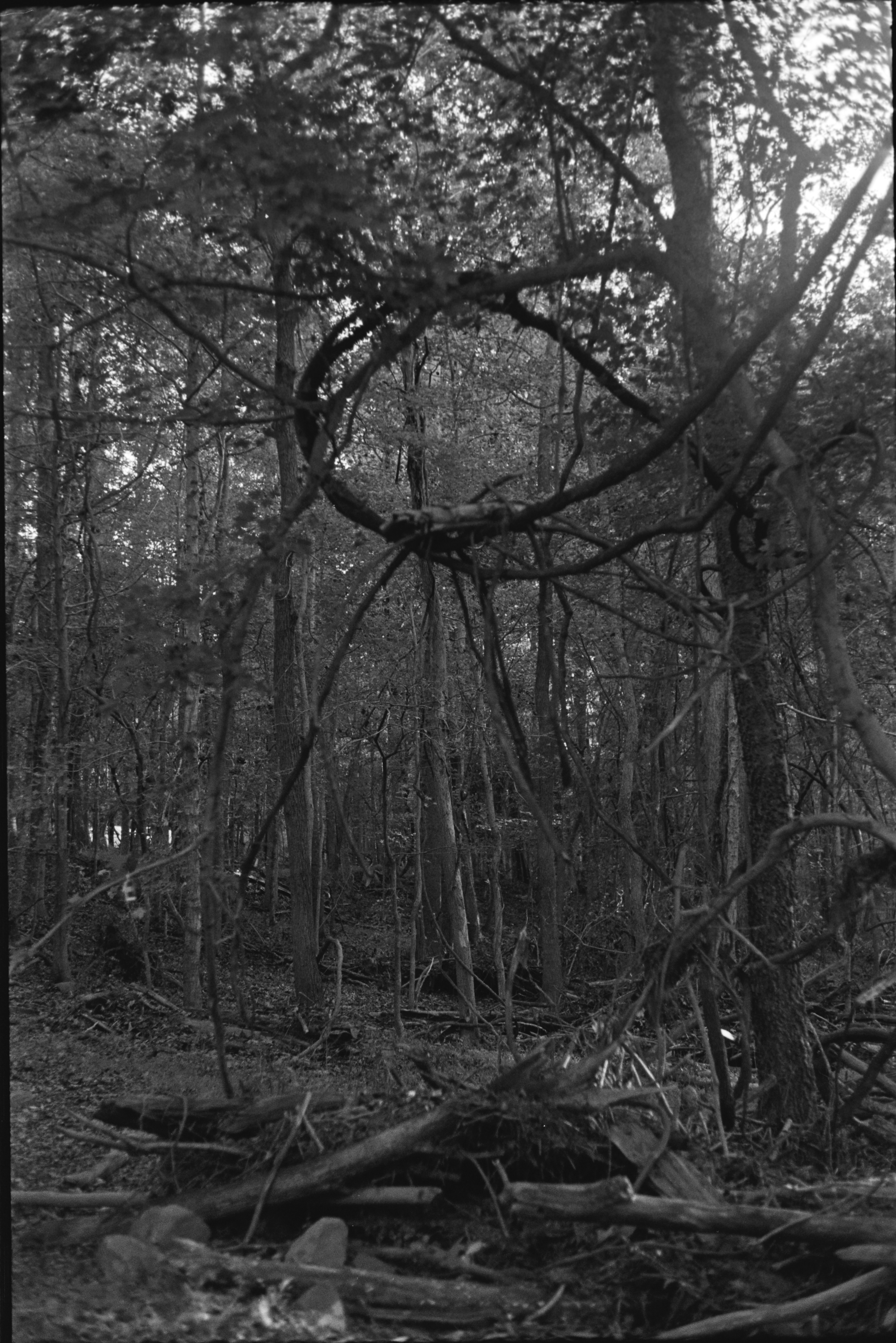 胶片摄影 8